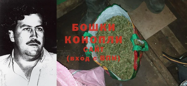 прущие крисы Няндома